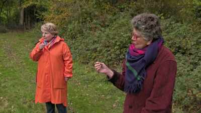 It's very lemony. It's lemony,
but obviously not lemon. Yeah, yeah. - Extraordinary Escapes with Sandi Toksvig