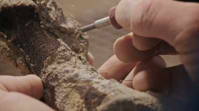 IT'S VERY REWARDING
TO JUST SIT THERE AND SLOWLY - Dino Hunters