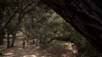 It's was like this thing doesn't want to be found. - Teen Wolf