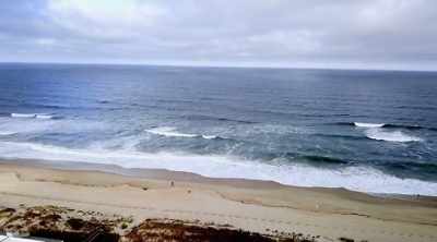 Its waters are the perfect
temperature for marine life, - Shark Attack Files