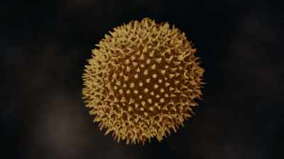 It's so well-built that
you can fire it from a gun, - Cosmos: Possible Worlds