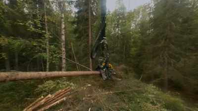 It's well studied,
carefully managed and sustainable. - Wild Nordic