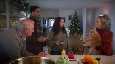 - It's winter.
- Pollen never sleeps, Annie. - The Dog Days of Christmas
