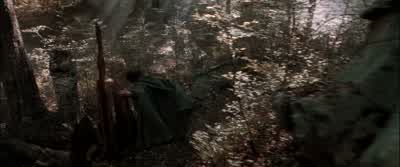 It's working I know Run - The Lord of the Rings: The Fellowship of the Ring