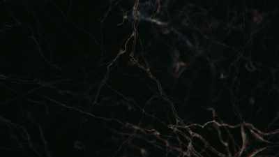 It's written in those
neurons pioneered by - Cosmos: Possible Worlds