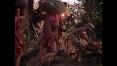 It's you, madame. - The Garden of Allah