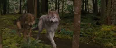 Ιt'ѕ fіnе, Lеаh. - The Twilight Saga: Breaking Dawn   Part 2
