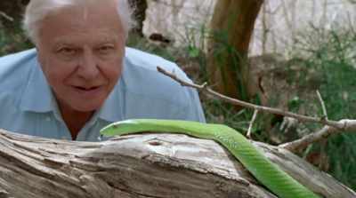 I've always had a passion to explore,
to have adventures, - David Attenborough: A Life on Our Planet