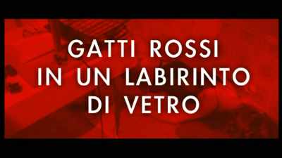 I've always been an avid
reader of giallo literature. - All the Colors of Giallo