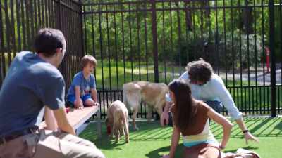 I'VE ALWAYS BEEN FASCINATED
BY ANIMALS - Why We Hate