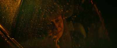 I've been chasing this thing
that's not real. [cries] - The Lost Flowers of Alice Hart
