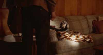 I've been cuddling you.
This is for your own good. - The Art of Self Defense