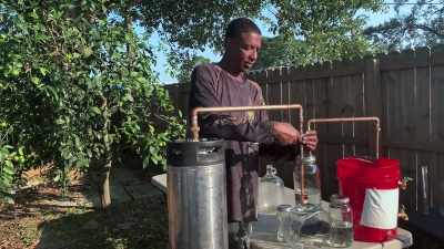   I've been immersed
  in this science. - Moonshiners: Master Distiller