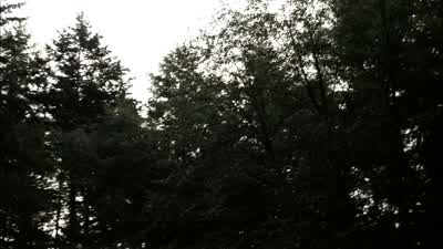 I've been keeping track of insect populations. - Supernatural