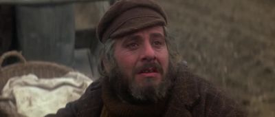 I've been looking everywhere for you - Fiddler on the Roof