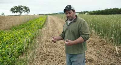 I've been told by numerous
seed companies - The Pollinators