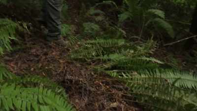  I've been tracking
 my whole life. - Expedition Bigfoot