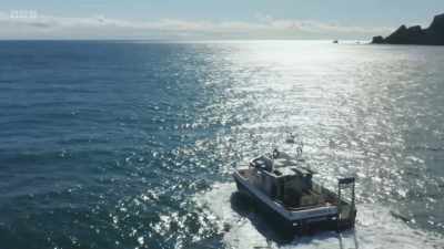 I've been visiting Lundy
just over 50 years now - - Wild Isles