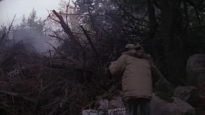 I've climbed it a time or two before - Pet Sematary