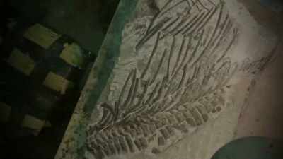ive-come-down-chriss-workshop-take-a-look - Attenborough and the Sea Dragon