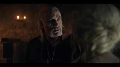 I've destroyed - The Witcher