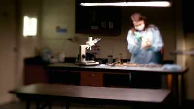 I've done hundreds of
skeletons, I've never seen it. - Casey Anthony: An American Murder Mystery