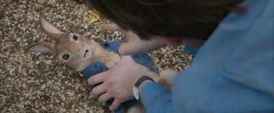 I've evolved, but you,
you're still the same. - Peter Rabbit