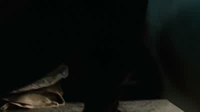 I've given our last exchange a good, hard pro/con think. - The Walking Dead