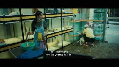 I've got a birthday gift for Xiao Jing. - My People, My Country