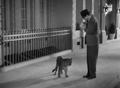 I've got a leopard - Bringing Up Baby