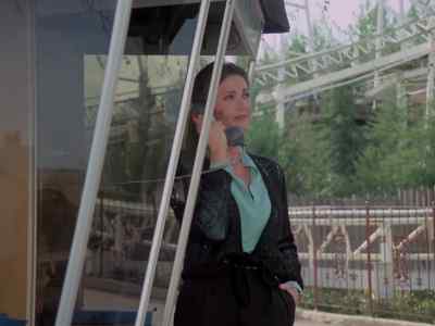 I've got absolutely nothing to report,
Steve, for the third day in a row. - Wonder Woman