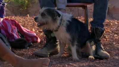 I've got heaps of tucker for him.
Yeah, he'll be all right. - Outback Opal Hunters