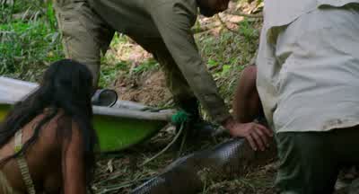I've heard about anacondas, and I've always been shook. - Pole to Pole with Will Smith