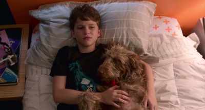 I've heard the word before,
but I don't get the concept. - Think Like a Dog