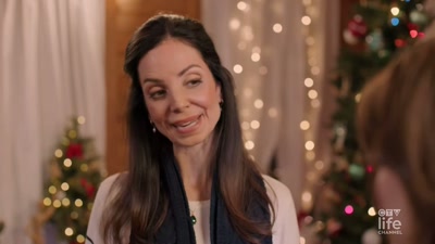 - I've known that for quite some time.
- You could have told me. - A Brush with Christmas