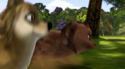 I've learned a lot of things
from my mother too, - Alpha & Omega: Journey to Bear Kingdom