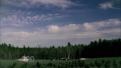 I've learned a thing or two - The Spruces and the Pines