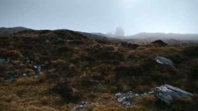 I've learned
from this story, covering for 24 years, - Sophie: A Murder in West Cork