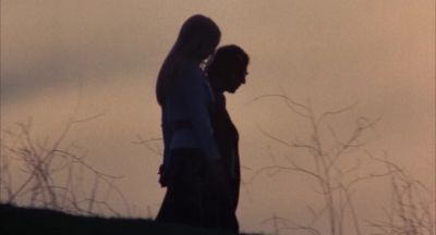 I've learned one thing from this whole situation and that is - Everything You Always Wanted to Know About Sex * But Were Afraid to Ask