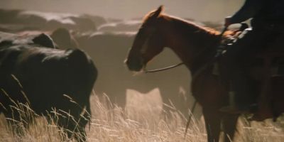 ♪ I've lived without bread and
I've lived without water ♪ - Yellowstone