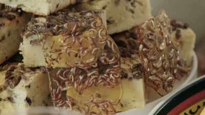 I've made a praline with maggots
in it, and you can see - The Human Body: Secrets of Your Life Revealed