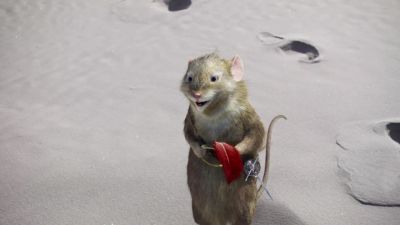 I've had many great adventures in this world - The Chronicles of Narnia: The Voyage of the Dawn Treader