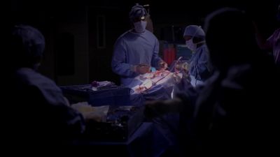 I've mobilized her spleen. - Grey's Anatomy