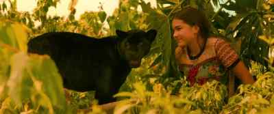 I've never met anyone like you. - Autumn and the Black Jaguar