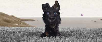 I've only got three captures
on my record - Isle of Dogs