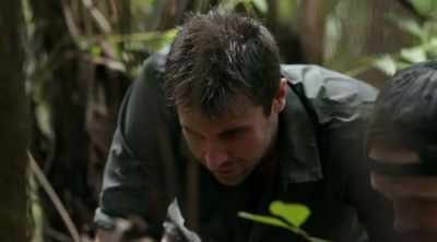 - I've read that bullet ants
do make that crazy sound, - Kings of Pain