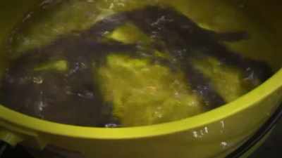 I'VE SEEN ONE OF THESE HAGFISH - Strange Evidence