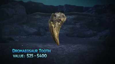 I'VE SEEN THEM GO FROM $25 TO
$400, YOU KNOW, - Dino Hunters