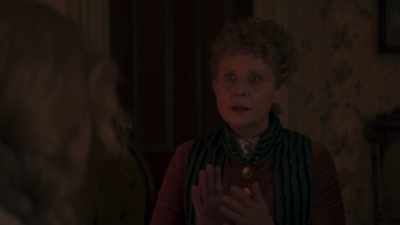 I've told you Mrs. Chamberlain - The Gilded Age