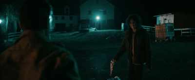 I've told you time and
again that I would do - The Survivalist